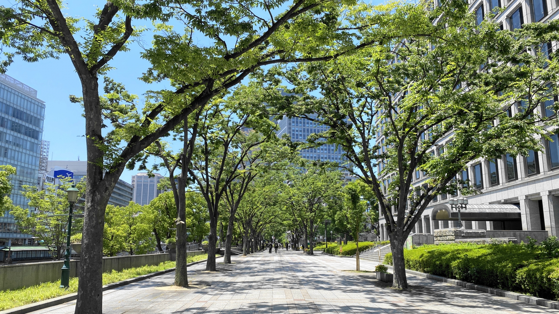 会社概要
